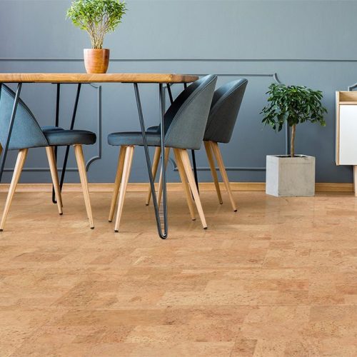 Best Flooring For Asthma And Allergy Sufferers Cork Cancork